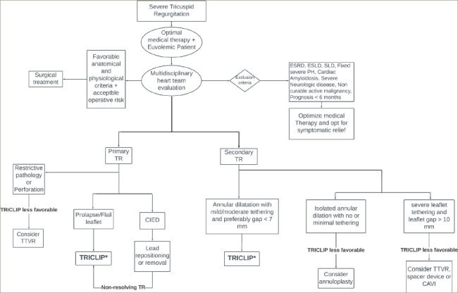 Figure 1: