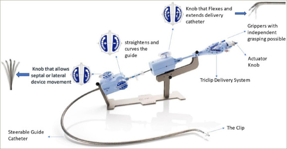 Figure 2: