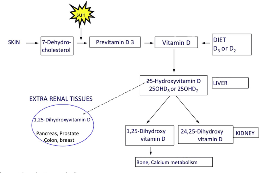 Fig. 1