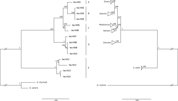 Fig 2