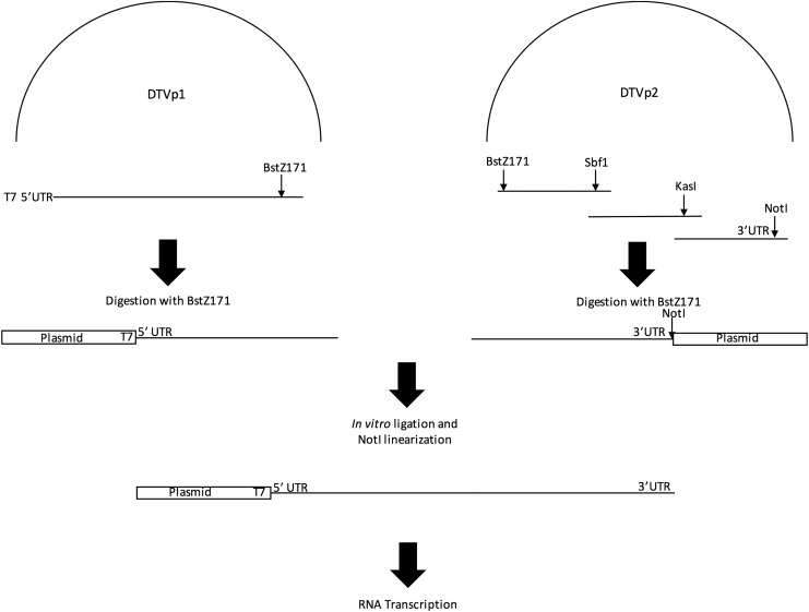 FIG. 1.