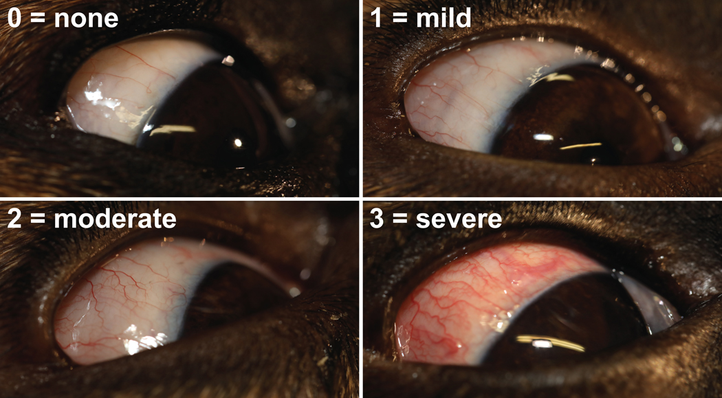 FIGURE 2: