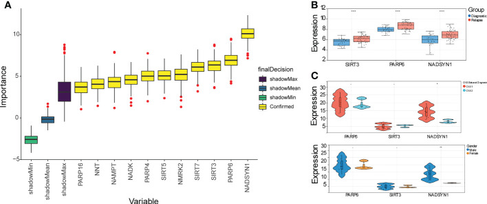 Figure 2