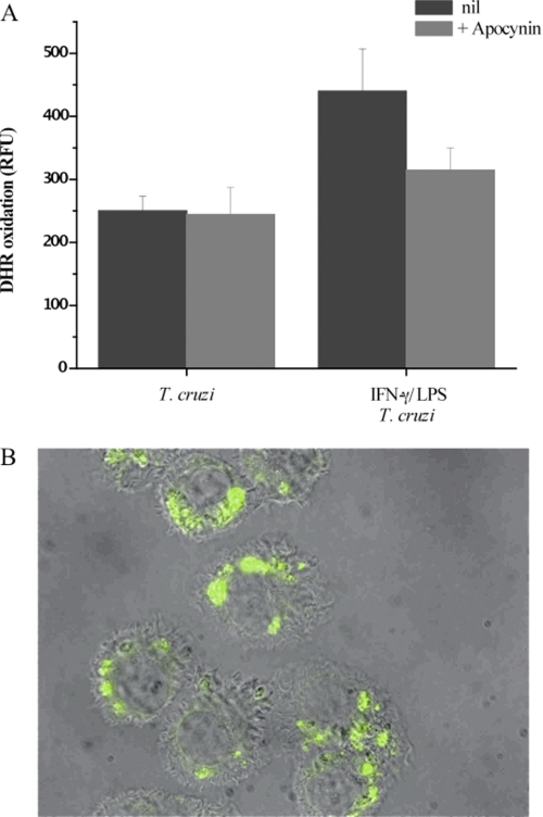 FIGURE 3.