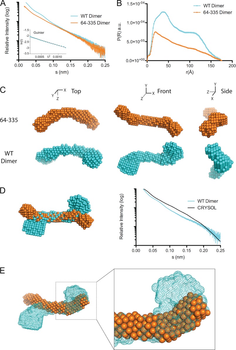 FIGURE 4.