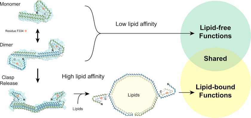 FIGURE 10.