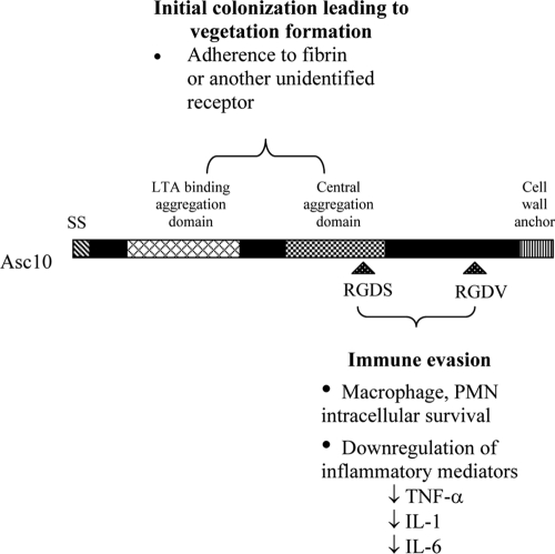 FIG. 7.