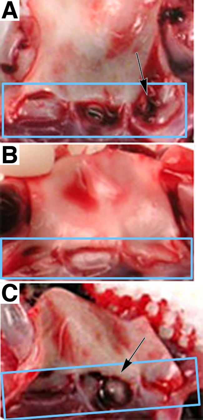 FIG. 4.