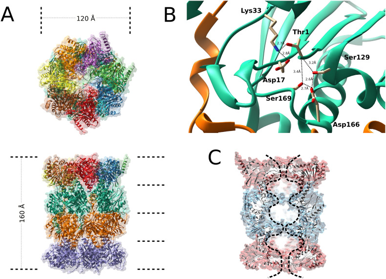 Fig. 1