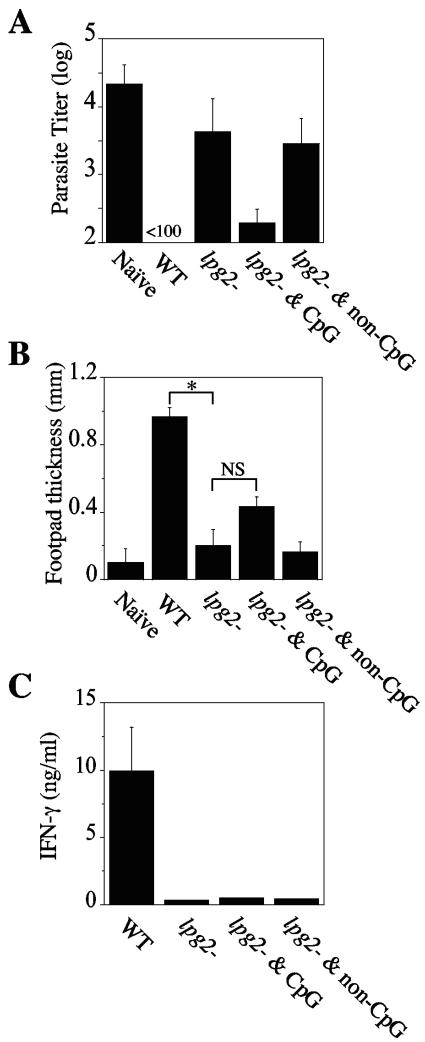 FIG. 2.