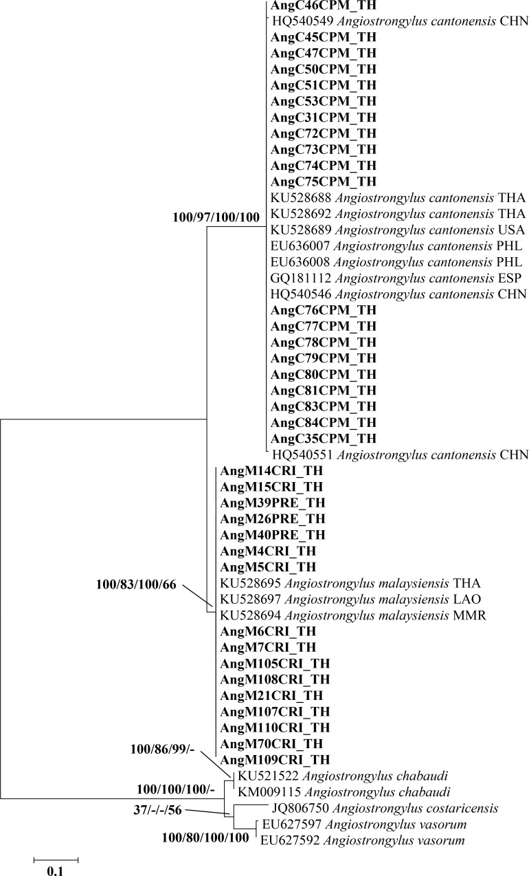 Fig 6