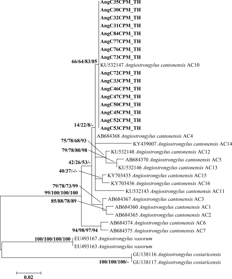 Fig 4