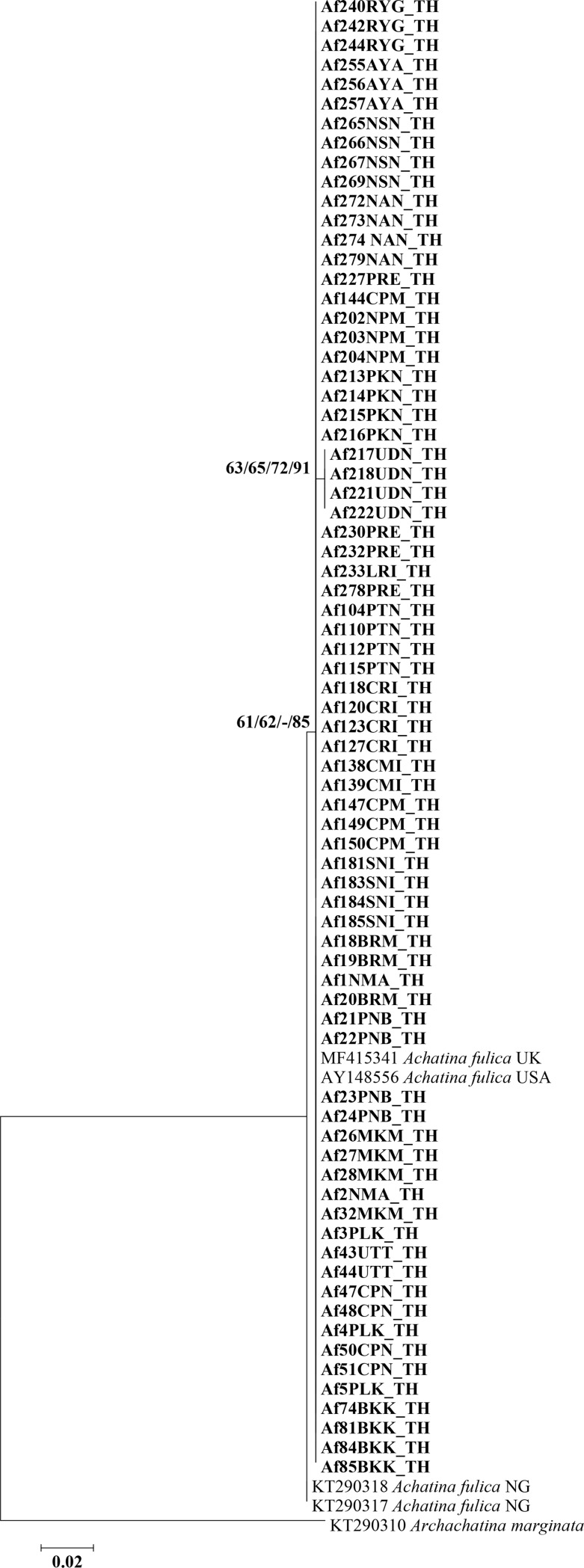 Fig 2