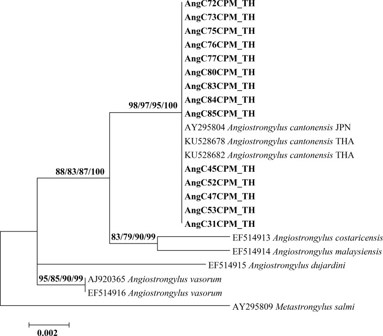 Fig 3