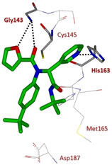 Figure 31