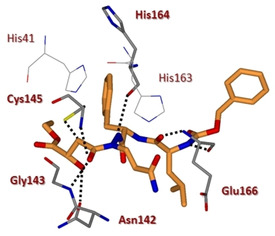 Figure 11