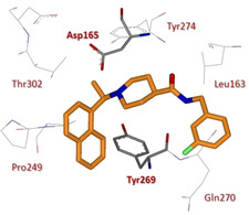 Figure 43