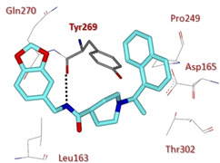 Figure 40