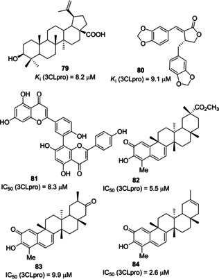 Figure 29