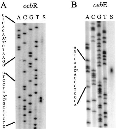 FIG. 5