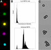 Supplementary Fig. 3