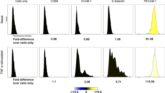 Supplementary Fig. 2