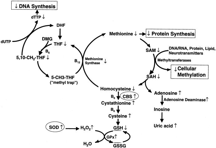 Figure  1