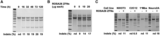 Figure 4.