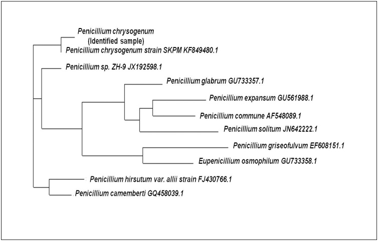 Fig. 5