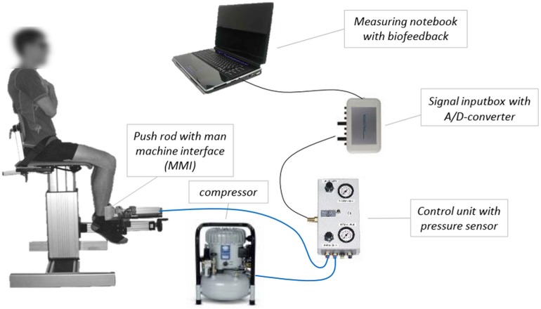 FIGURE 2