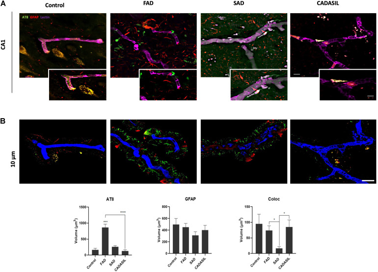 FIGURE 3