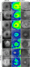 Figure 4.