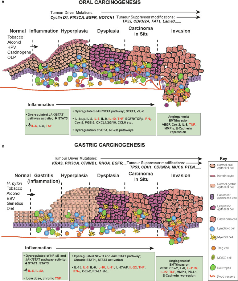 Figure 3