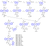 Figure 25