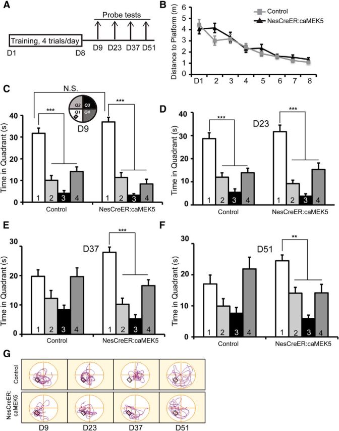 Figure 12.