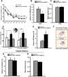 Figure 11.