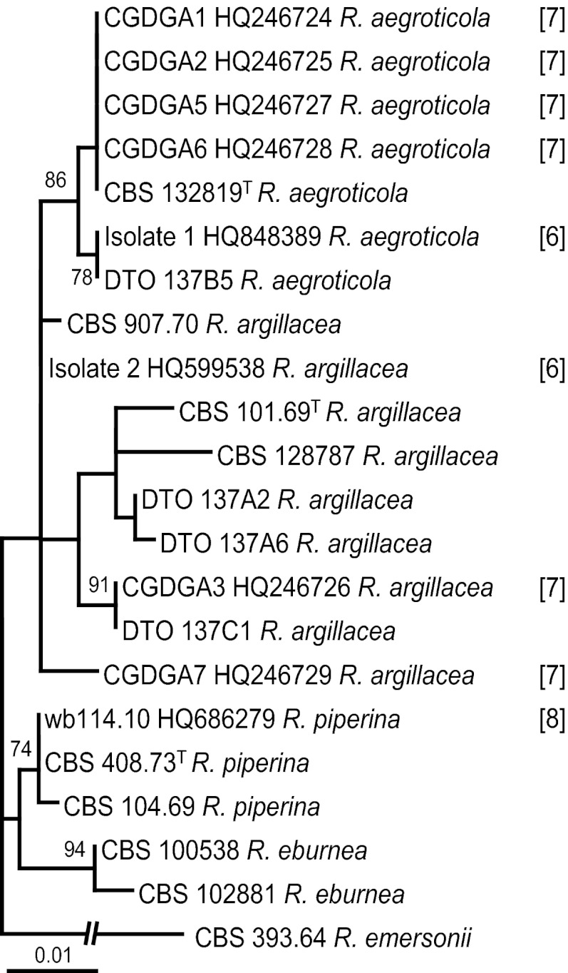 Fig 4