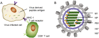 Fig. 2