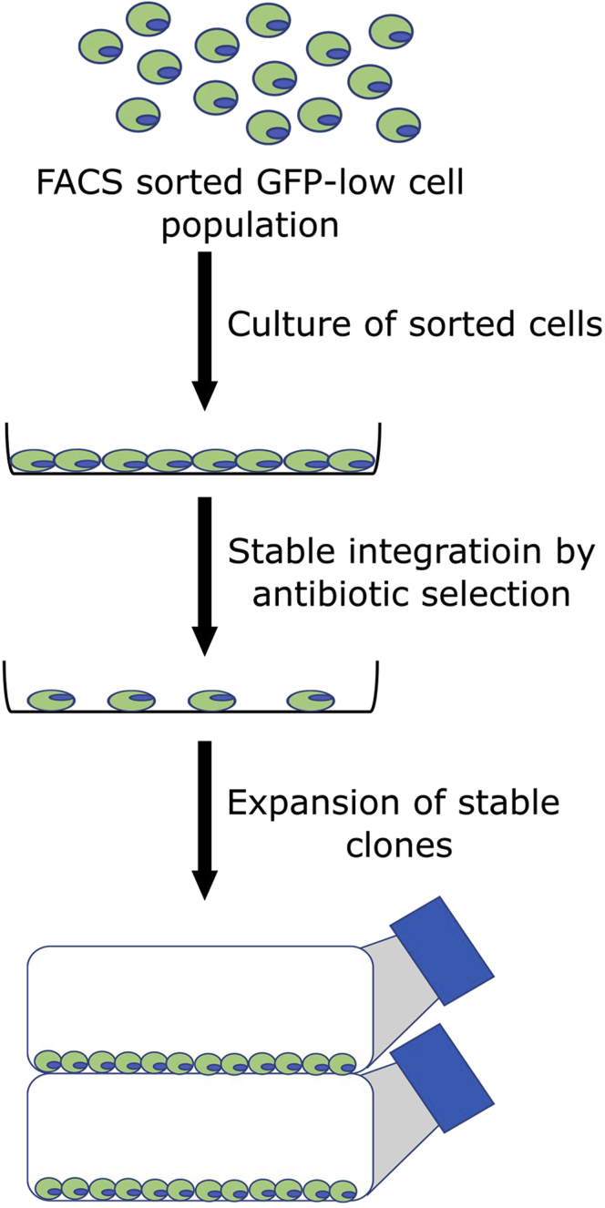 Figure 3