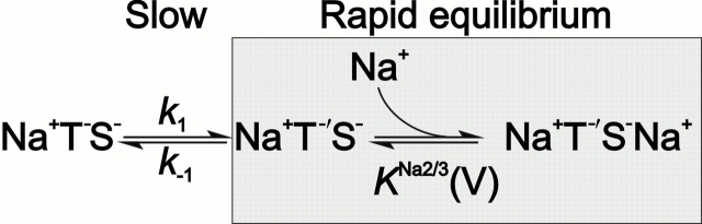 Scheme S1