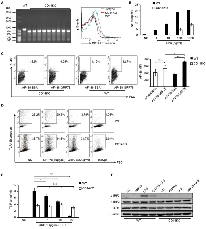 Figure 5