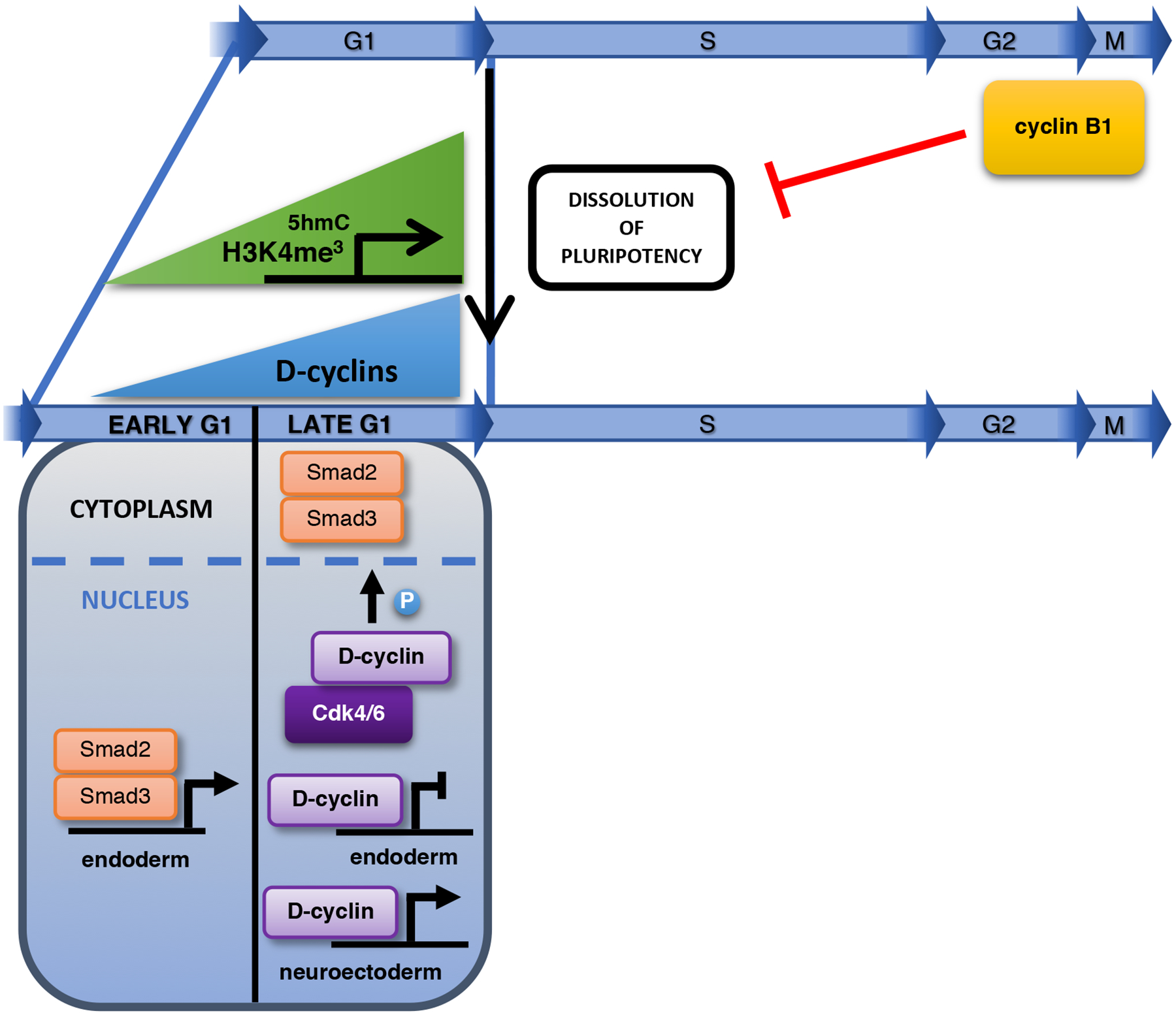 Fig. 3 |