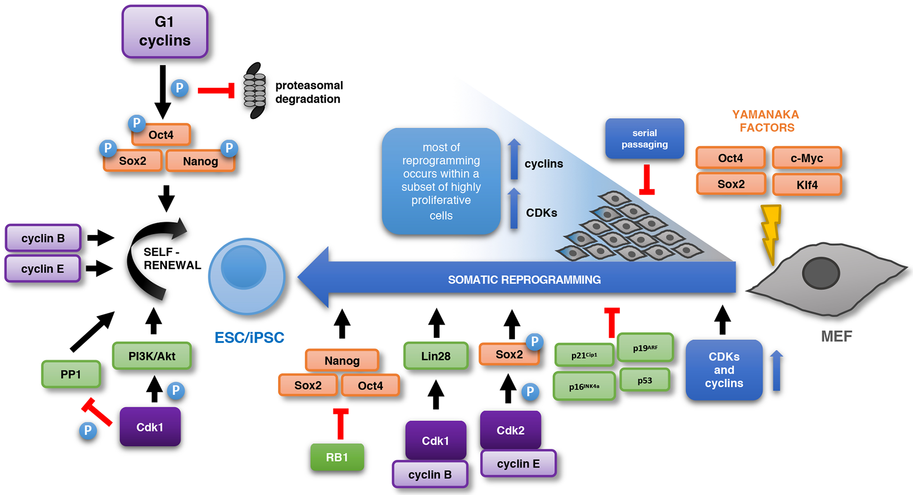 Figure 2 |