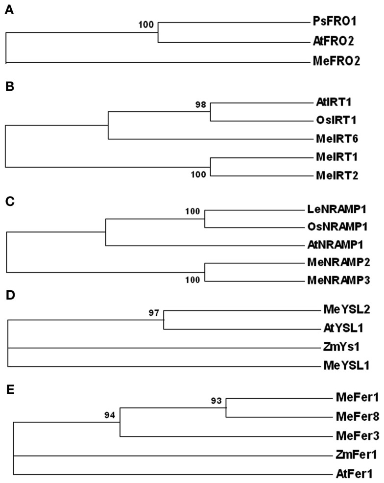 Figure 7