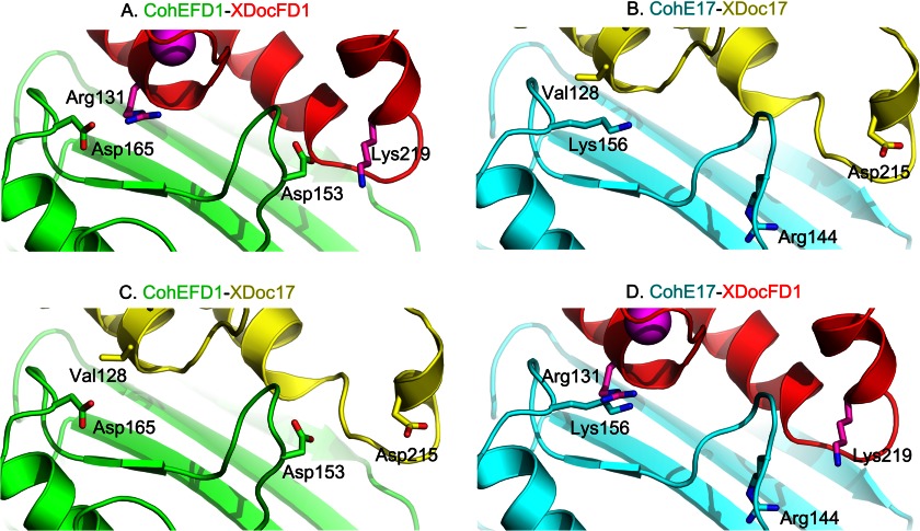 FIGURE 5.