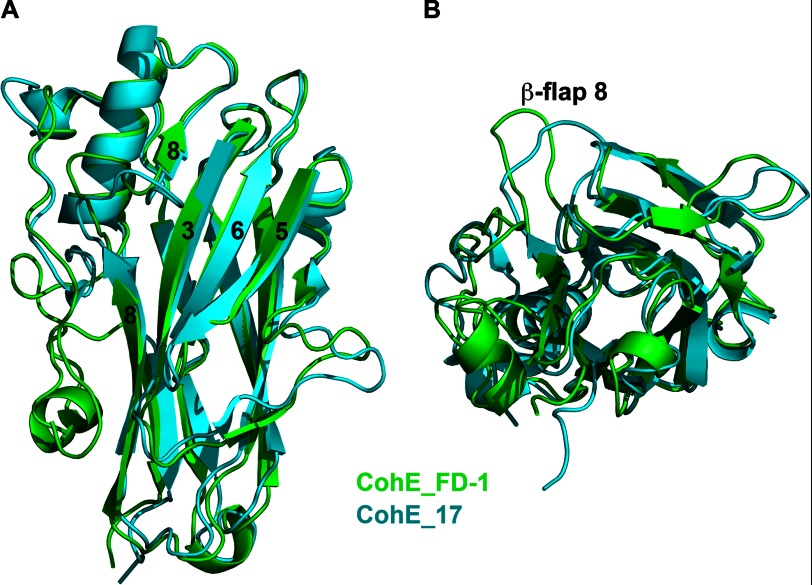 FIGURE 3.