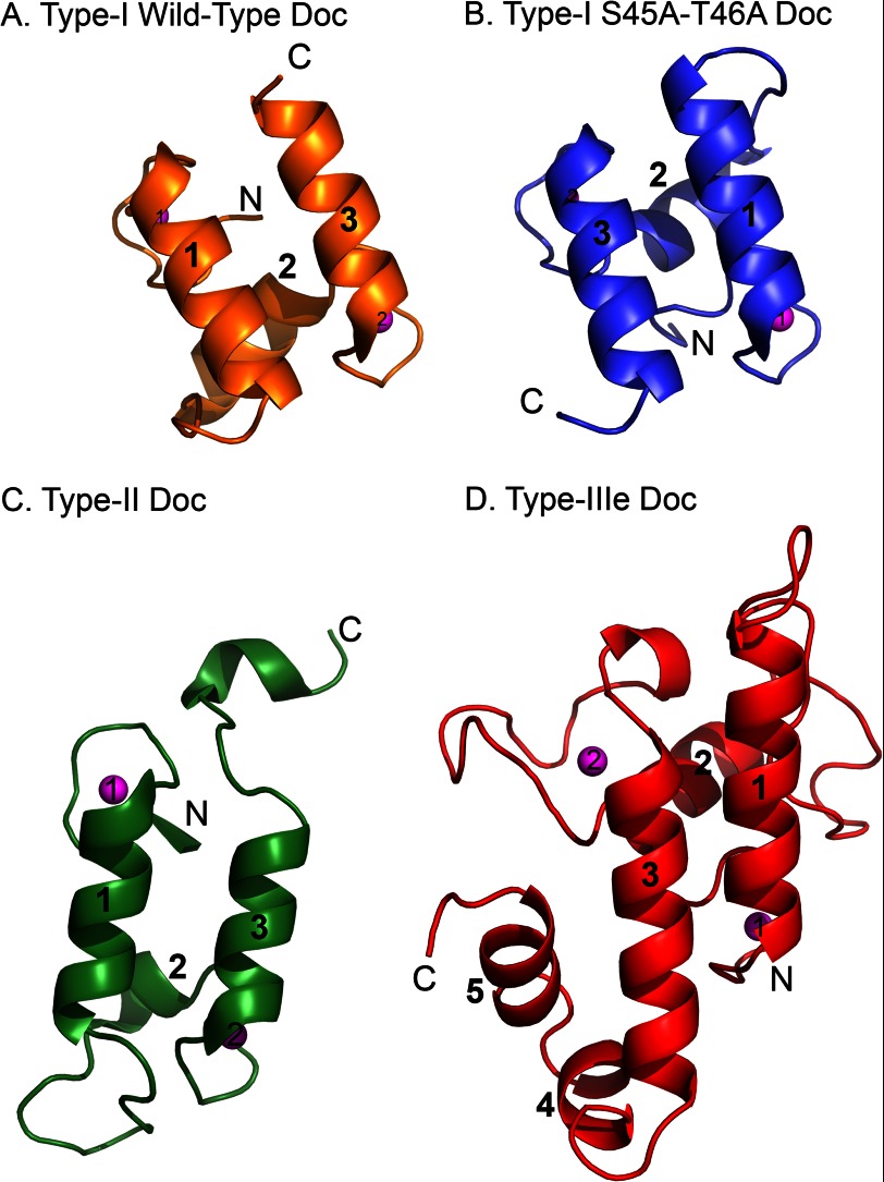 FIGURE 4.