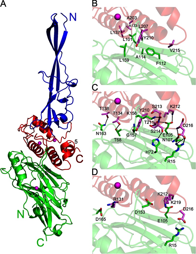 FIGURE 2.