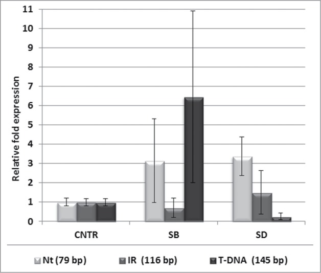 Figure 4.