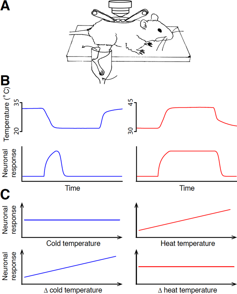 Figure 2 |